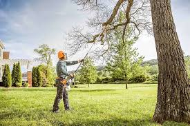 Best Storm Damage Tree Cleanup  in Hartsville, TN